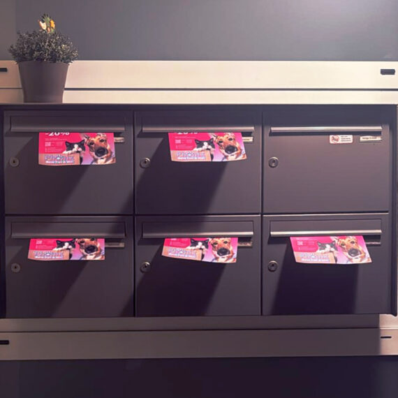 Phönix Flyer up-creators