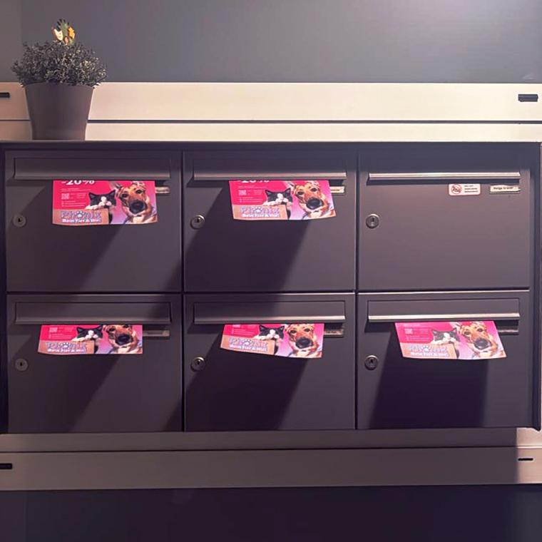 Phönix Flyer up-creators