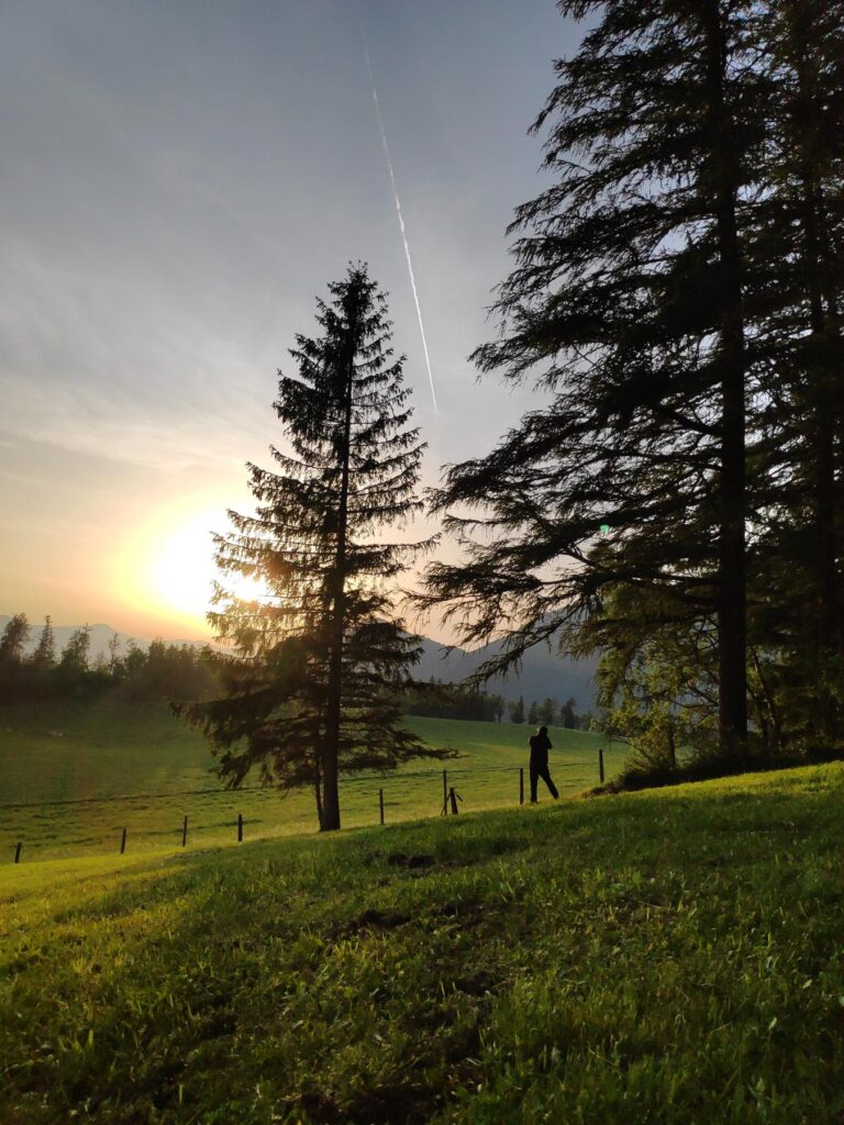 Almenland, Contact us, up-creators